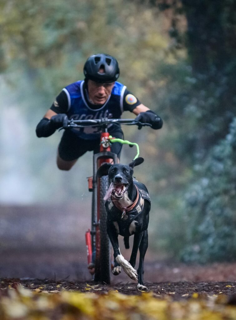 Cyclist and dog racing