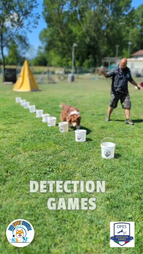 Dog detection games event