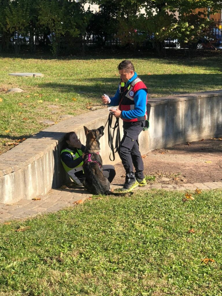 Dog training with handlers