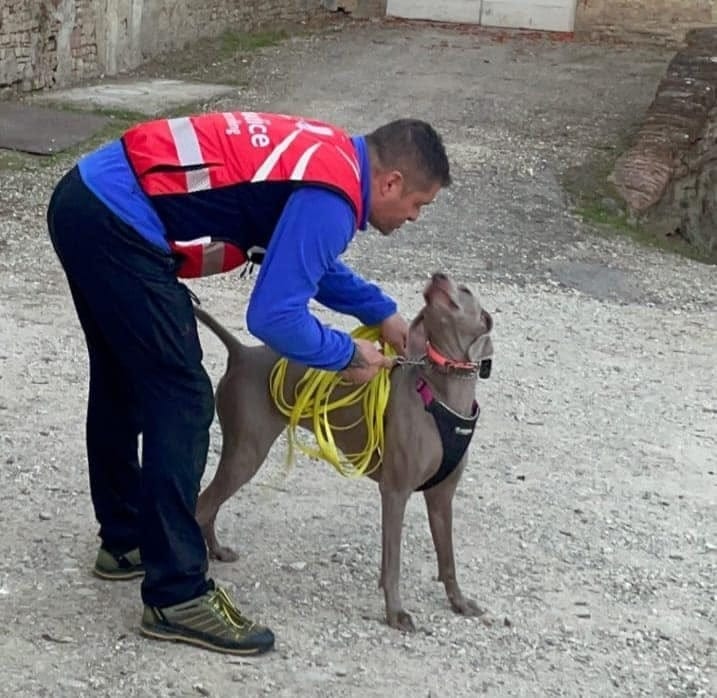 Hombre con perro de rescate