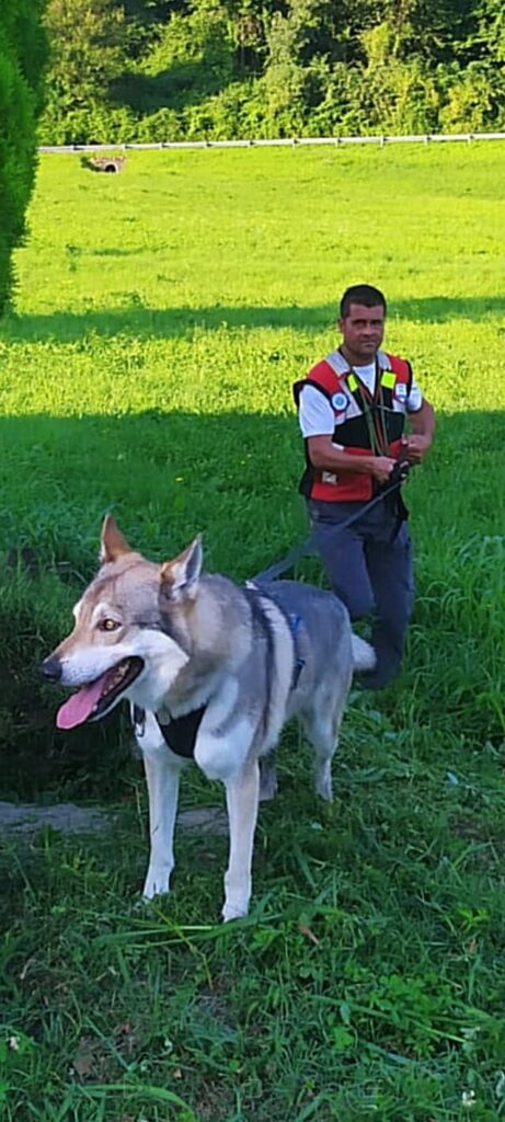 Man and dog outdoors