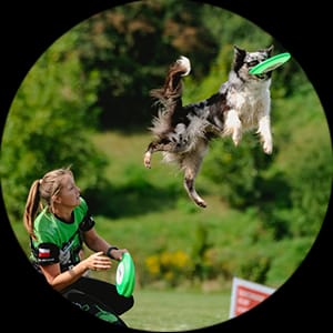 disc dog show