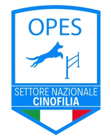 logo generale opes cino